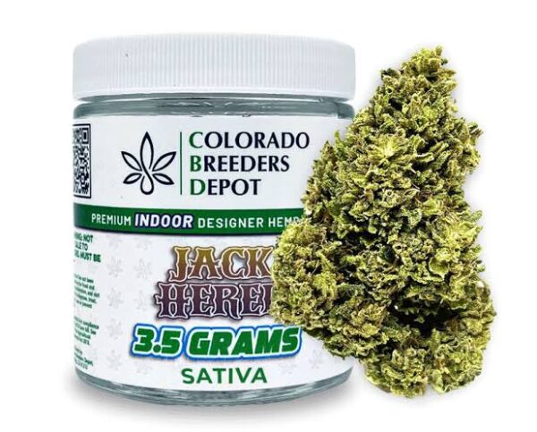 Jack Herer (Sativa)