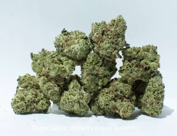Super Silver Haze