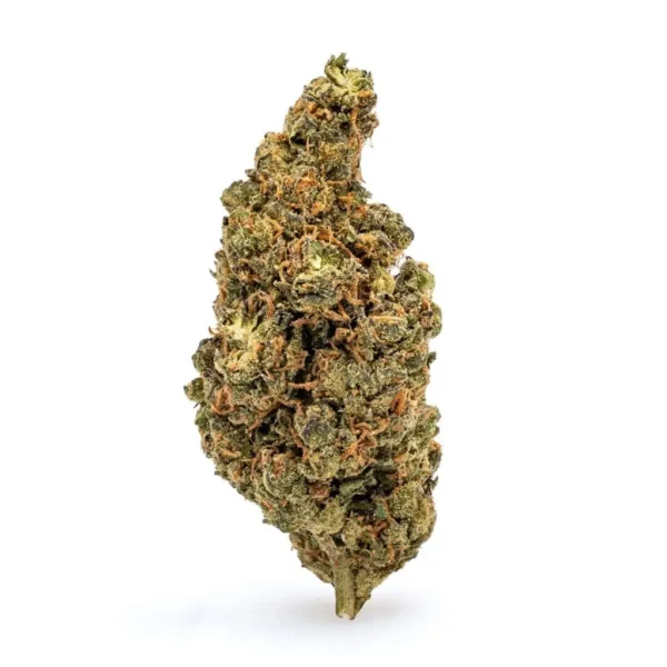 Amnesia Haze (sativa)