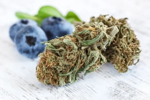 Blue Berry